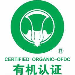 精品推薦 石家莊快易企業管理咨詢中心 – 專業高效的企業管理咨詢伙伴